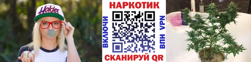 Где можно купить наркотики Верхняя Пышма Амфетамин COCAIN ГАШ Псилоцибиновые грибы Бошки Шишки МЕФ