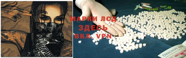 гашик Бородино