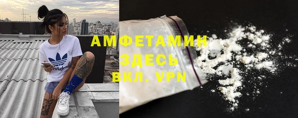 гашик Бородино