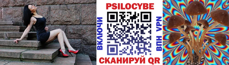 Галлюциногенные грибы мухоморы  Верхняя Пышма 